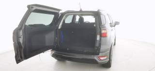 FORD EcoSport usata, con Bracciolo