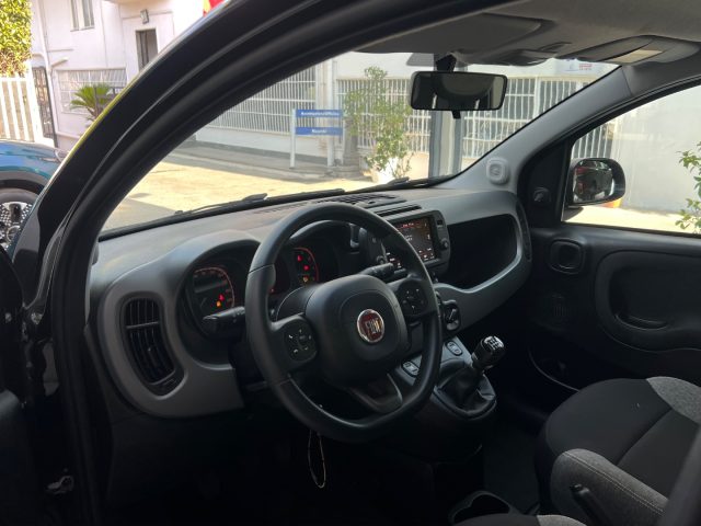 FIAT Panda usata 36