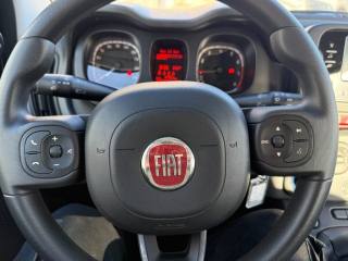 FIAT Panda usata, con Airbag testa