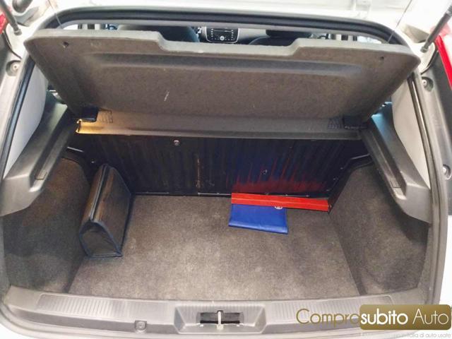 FIAT Punto usata, con Servosterzo
