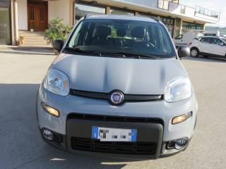 FIAT Panda usata, con Controllo trazione