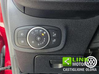 FORD Fiesta usata 22
