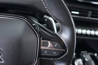 PEUGEOT 3008 usata 47