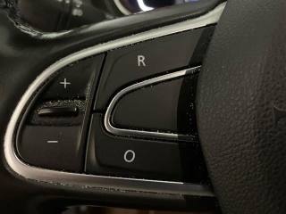RENAULT Scenic usata, con Bracciolo