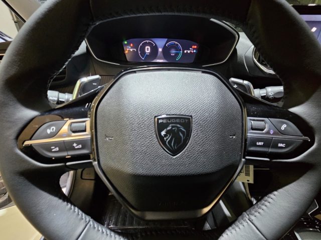 PEUGEOT 208 usata, con Bracciolo