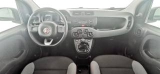 FIAT Panda usata, con Controllo trazione