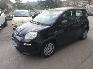 FIAT Panda usata, con Airbag