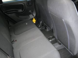 FIAT Panda usata, con Controllo trazione