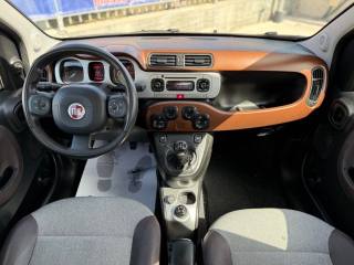 FIAT Panda Cross usata 23