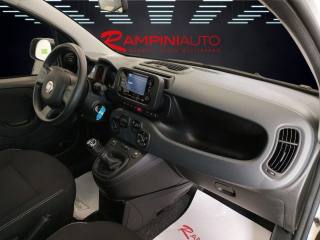 FIAT Panda usata 18