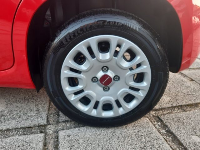 FIAT Panda usata 14
