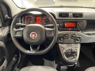 FIAT Panda usata 21