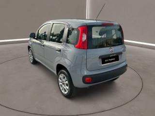 FIAT Panda usata, con Autoradio