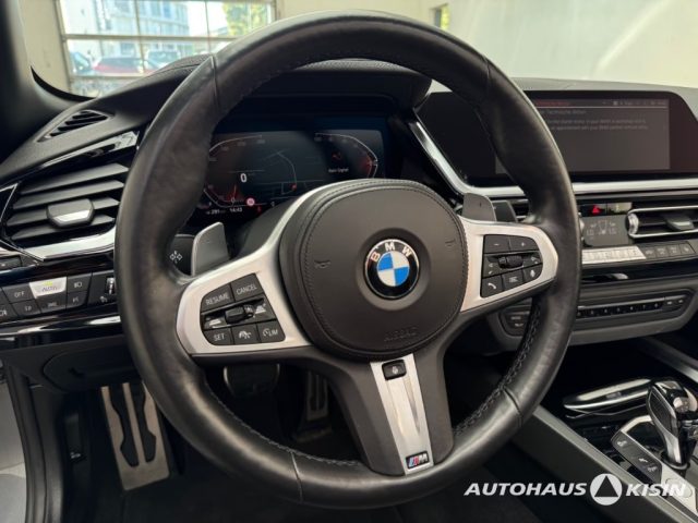 BMW Z4 usata, con Fendinebbia