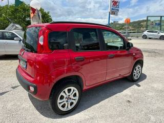 FIAT Panda usata, con Alzacristalli elettrici