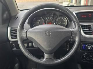 PEUGEOT 206 usata 25