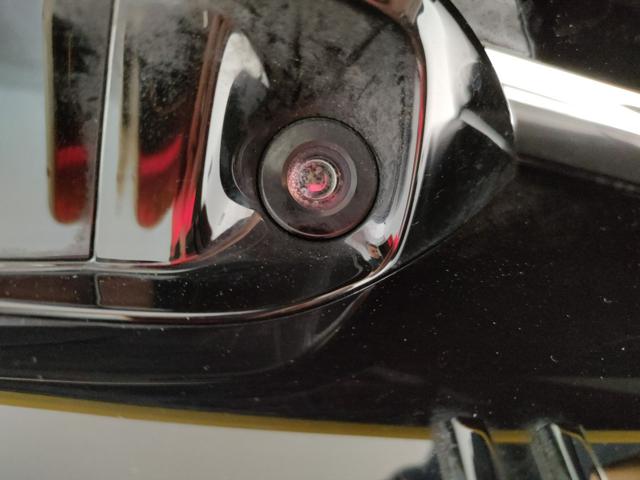 LOTUS Emeya usata, con Controllo vocale