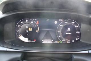 CUPRA Terramar usata, con Servosterzo