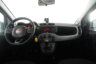 FIAT Panda usata 4