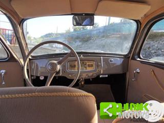 FIAT 1100 usata 13