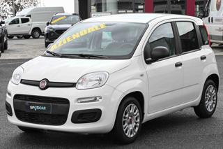 FIAT Panda usata 20
