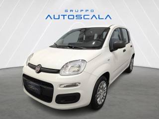FIAT New Panda Pandina 1.0 FireFly 65 CV Hybrid Icon