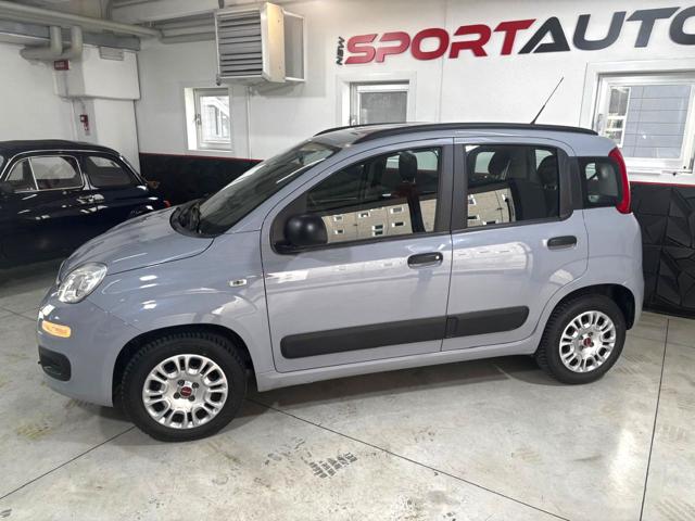 FIAT Panda usata, con Airbag Passeggero
