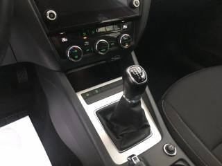 SKODA Octavia usata, con Cruise Control