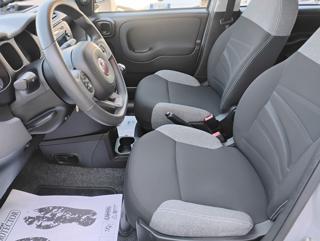 FIAT Panda usata, con Servosterzo