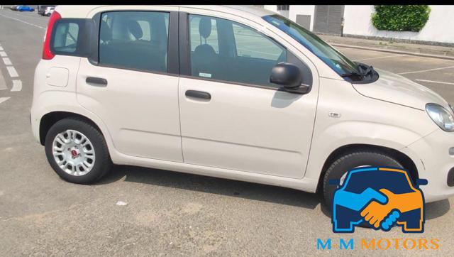 FIAT Panda usata, con Airbag Passeggero