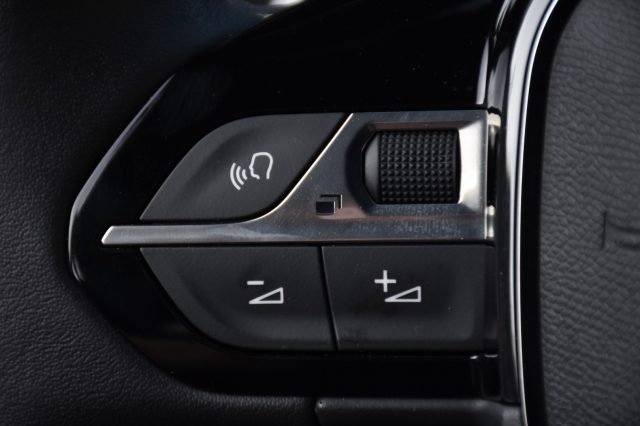 PEUGEOT 2008 usata, con Vetri oscurati