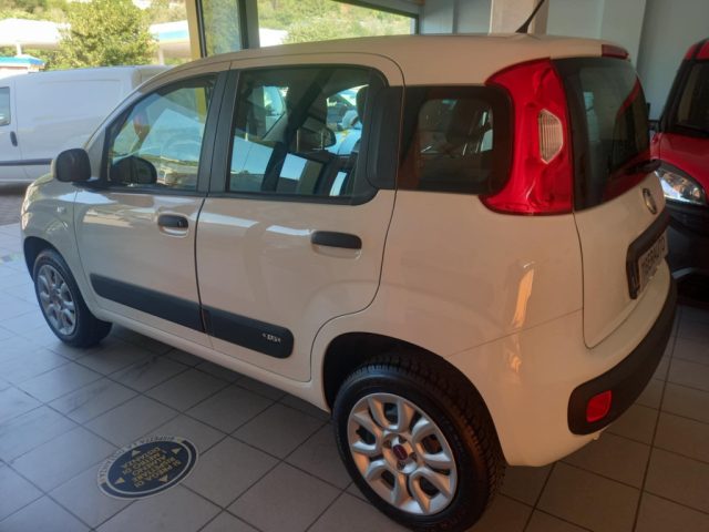 FIAT Panda usata, con Controllo trazione