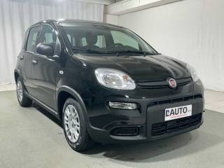FIAT Panda usata, con Controllo trazione