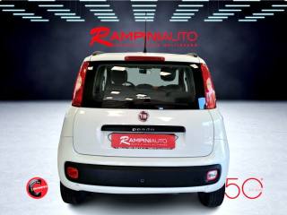 FIAT Panda usata 8