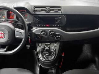 FIAT Panda usata 13