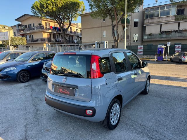 FIAT Panda usata, con Airbag laterali