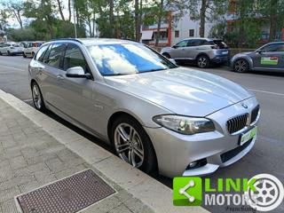 BMW 520 usata, con Controllo automatico clima