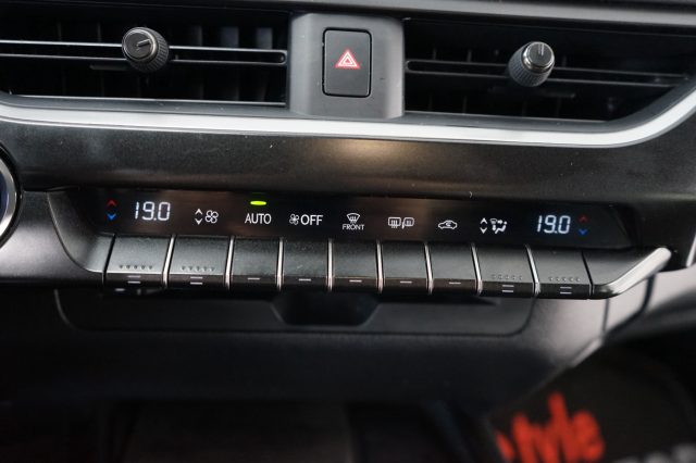 LEXUS UX 250h usata 33