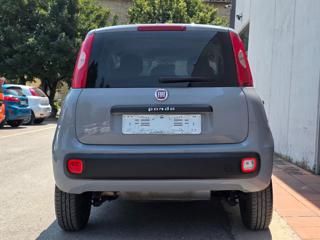 FIAT Panda usata, con Chiusura centralizzata
