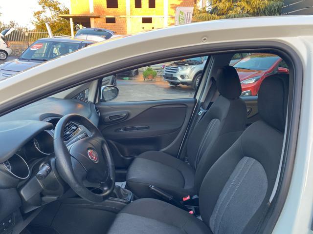 FIAT Punto usata 13