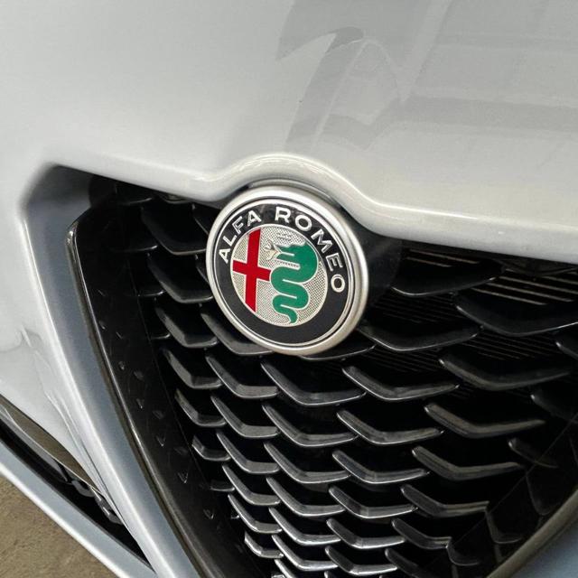ALFA ROMEO Stelvio usata, con Bracciolo