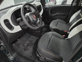 FIAT Panda usata, con Immobilizzatore elettronico
