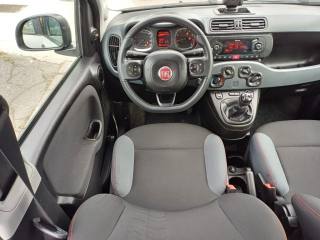 FIAT Panda usata 24