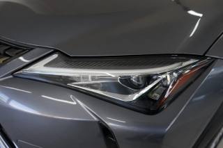 LEXUS UX 250h usata, con Sensore di pioggia