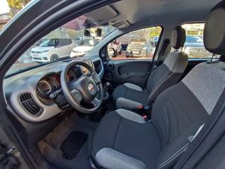 FIAT Panda usata, con Controllo trazione