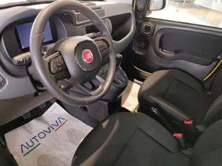 FIAT Panda usata, con Controllo trazione