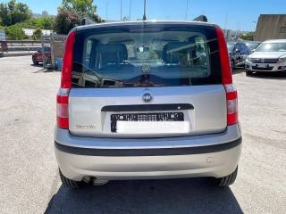 FIAT Panda usata 6