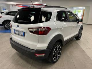 FORD EcoSport usata, con Fendinebbia