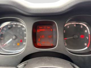 FIAT Panda usata 13
