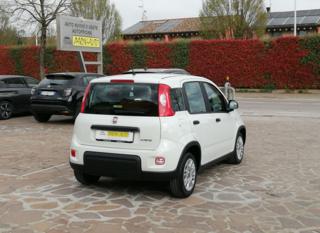 FIAT Panda usata, con Airbag Passeggero